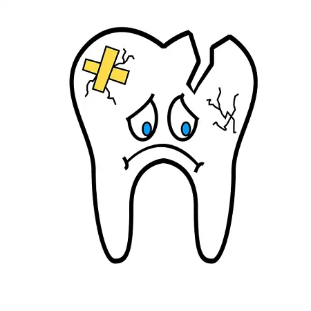 Struttura del dente: scopriamo la sua anatomia e di cosa si compone